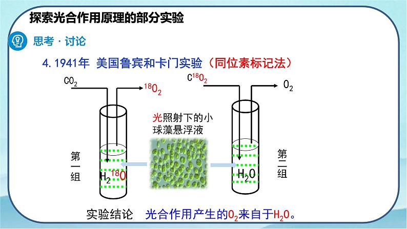 5.4.2 光合作用的原理和应用-高中生物 课件+练习（人教版2019 必修一）08