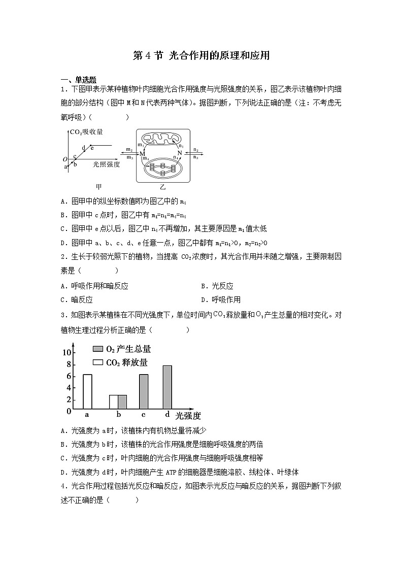 5.4.2 光合作用的原理和应用-高中生物 课件+练习（人教版2019 必修一）01