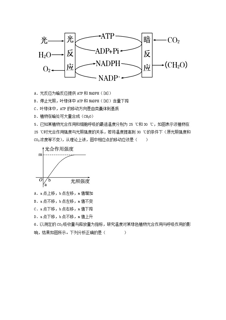 5.4.2 光合作用的原理和应用-高中生物 课件+练习（人教版2019 必修一）02