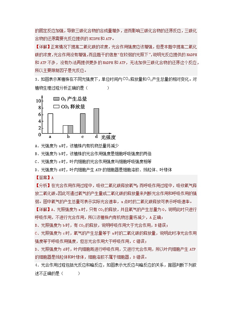 5.4.2 光合作用的原理和应用-高中生物 课件+练习（人教版2019 必修一）02
