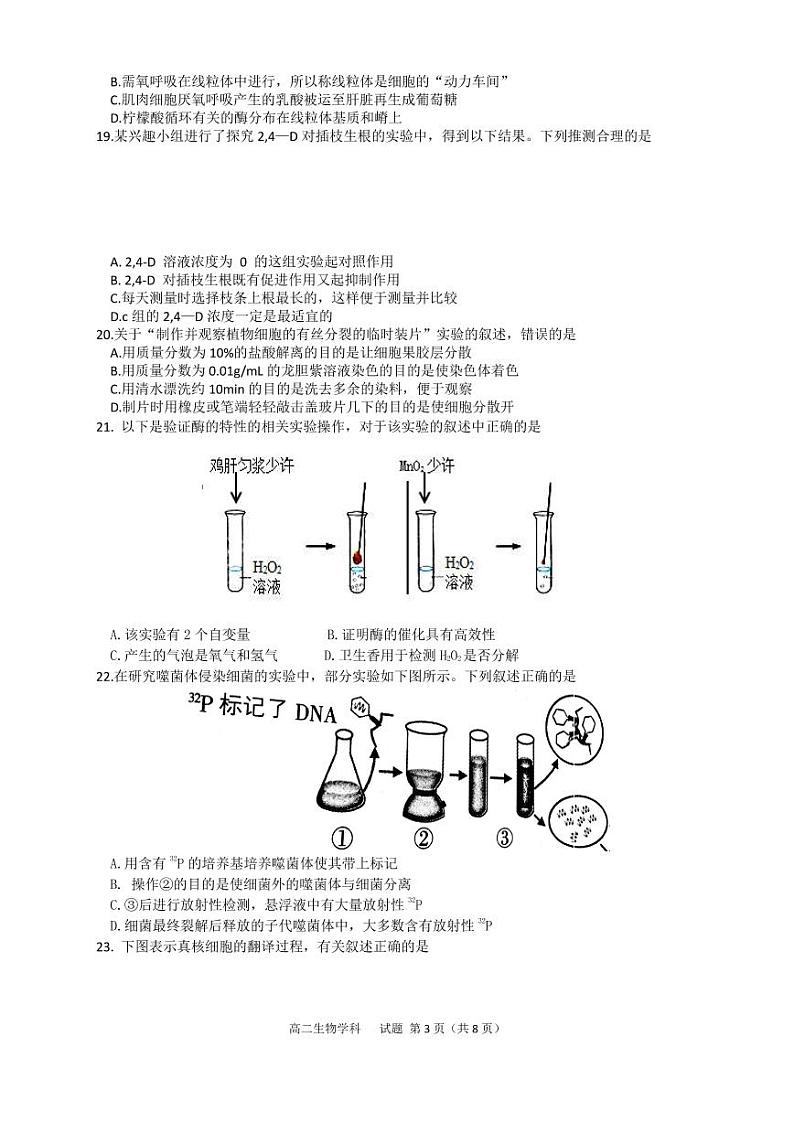 2016-2017学年浙江省“七彩阳光新高考研究联盟高二上学期期中联考生物试题 PDF版第3页
