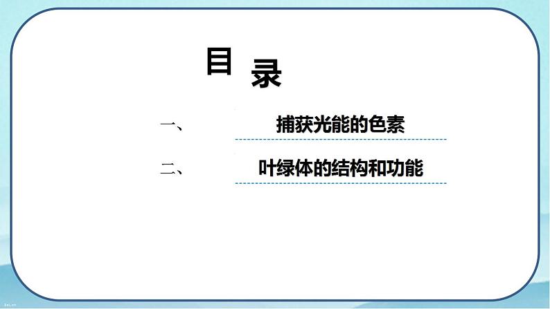 5.4.1 捕获光能的色素和结构-高中生物 课件+练习（人教版2019 必修一）03