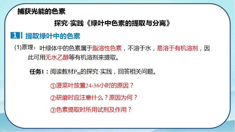 5.4.1 捕获光能的色素和结构-高中生物 课件+练习（人教版2019 必修一）05