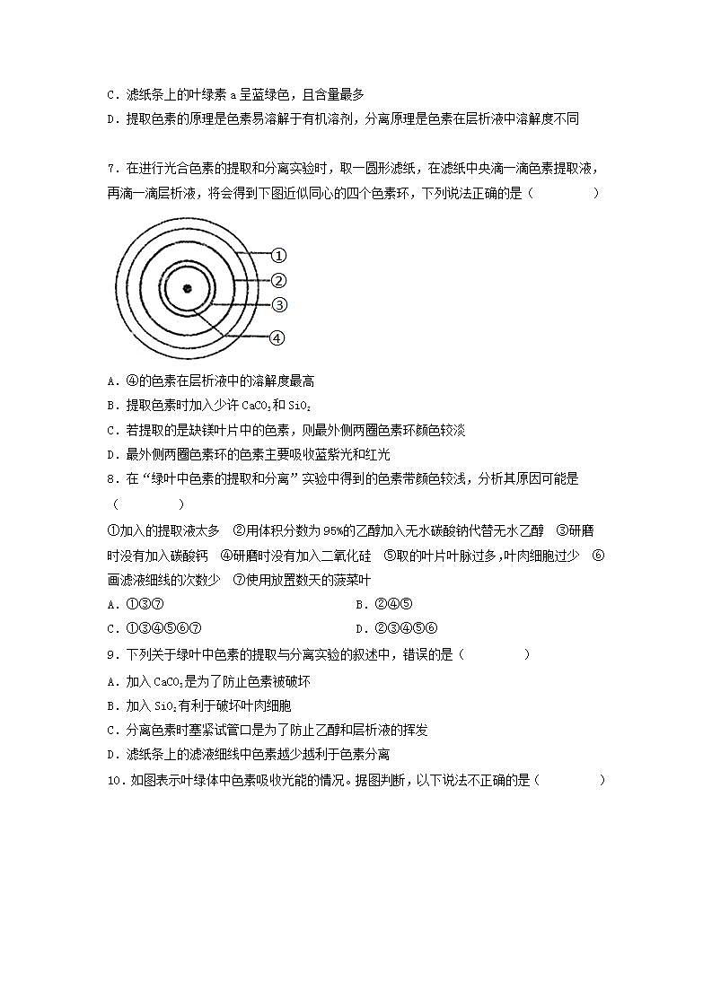 5.4.1 捕获光能的色素和结构-高中生物 课件+练习（人教版2019 必修一）02