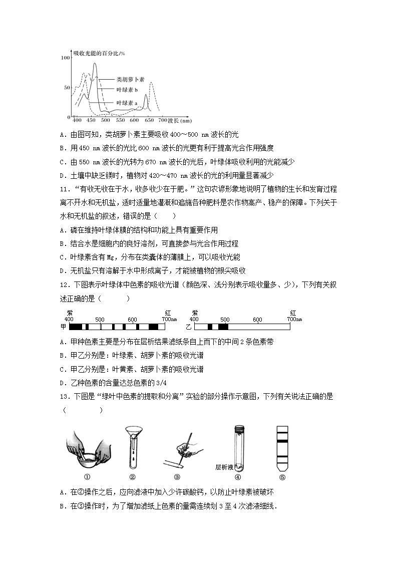 5.4.1 捕获光能的色素和结构-高中生物 课件+练习（人教版2019 必修一）03
