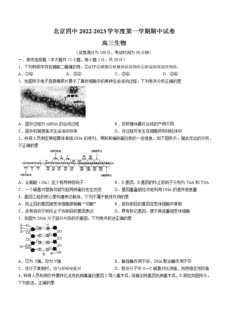 2023北京市四中高三上学期期中生物试题含答案第1页