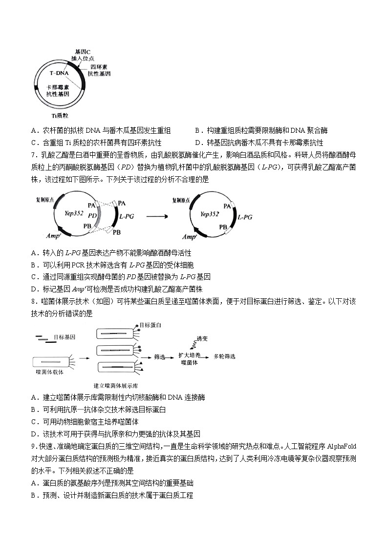 2023北京市四中高三上学期期中生物试题含答案第2页