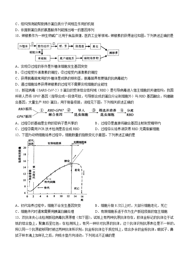 2023北京市四中高三上学期期中生物试题含答案第3页