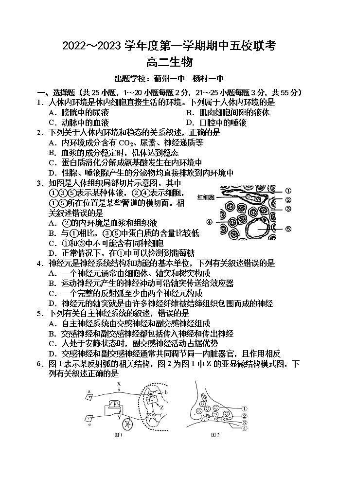 2023天津市五校高二上学期期中考试高二生物试卷第1页