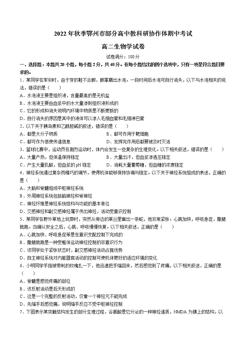 2023鄂州部分高中教科研协作体―高二上学期期中考试生物试题含答案第1页