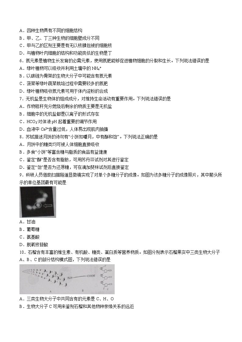 2023青岛四区县高一上学期期中考试生物试题含答案02