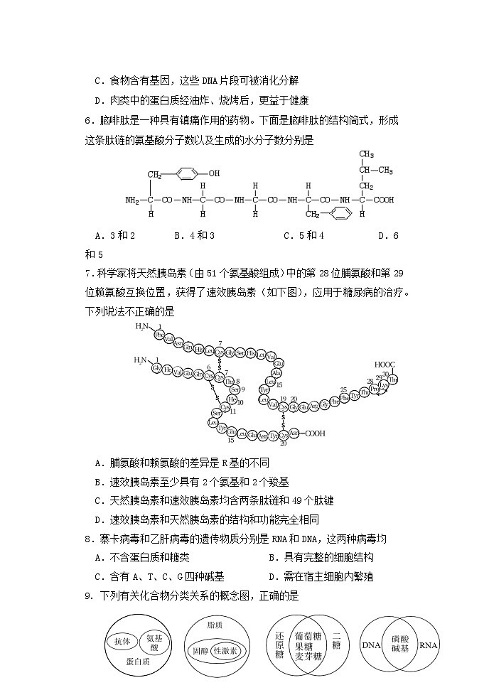 2023北京丰台区高一上学期11月期中生物试题含答案02