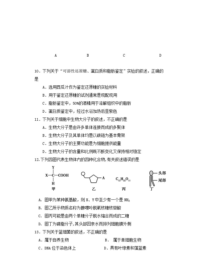 2023北京丰台区高一上学期11月期中生物试题含答案03