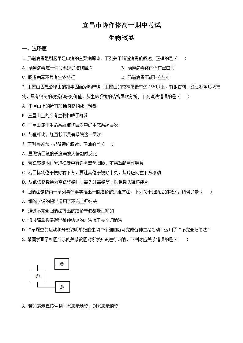 2023宜昌协作体高一上学期期中考试生物试题含解析01