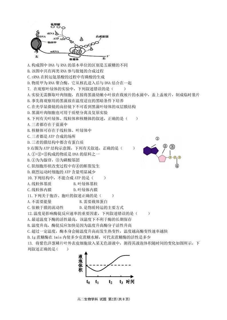 2019-2020学年浙江省“七彩阳光”新高考研究联盟高二上学期期中联考生物试题 pdf版02