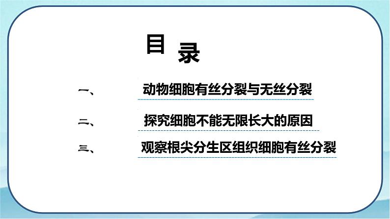 6.1 细胞的增殖（第2课时）-高中生物 课件+练习（人教版2019 必修一）03