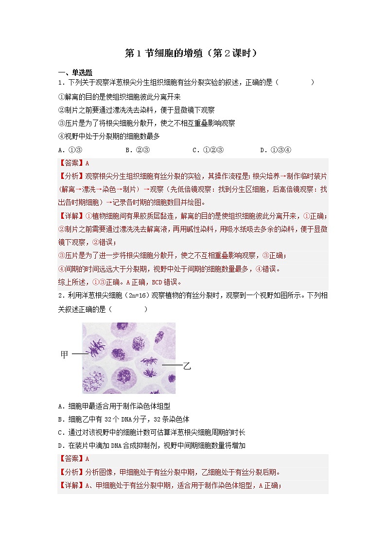 6.1 细胞的增殖（第2课时）-高中生物 课件+练习（人教版2019 必修一）01