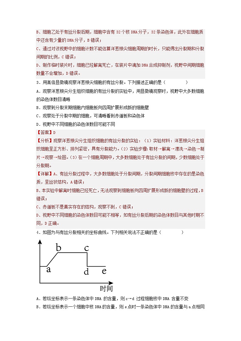 6.1 细胞的增殖（第2课时）-高中生物 课件+练习（人教版2019 必修一）02