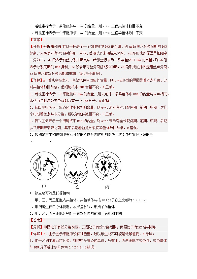 6.1 细胞的增殖（第2课时）-高中生物 课件+练习（人教版2019 必修一）03