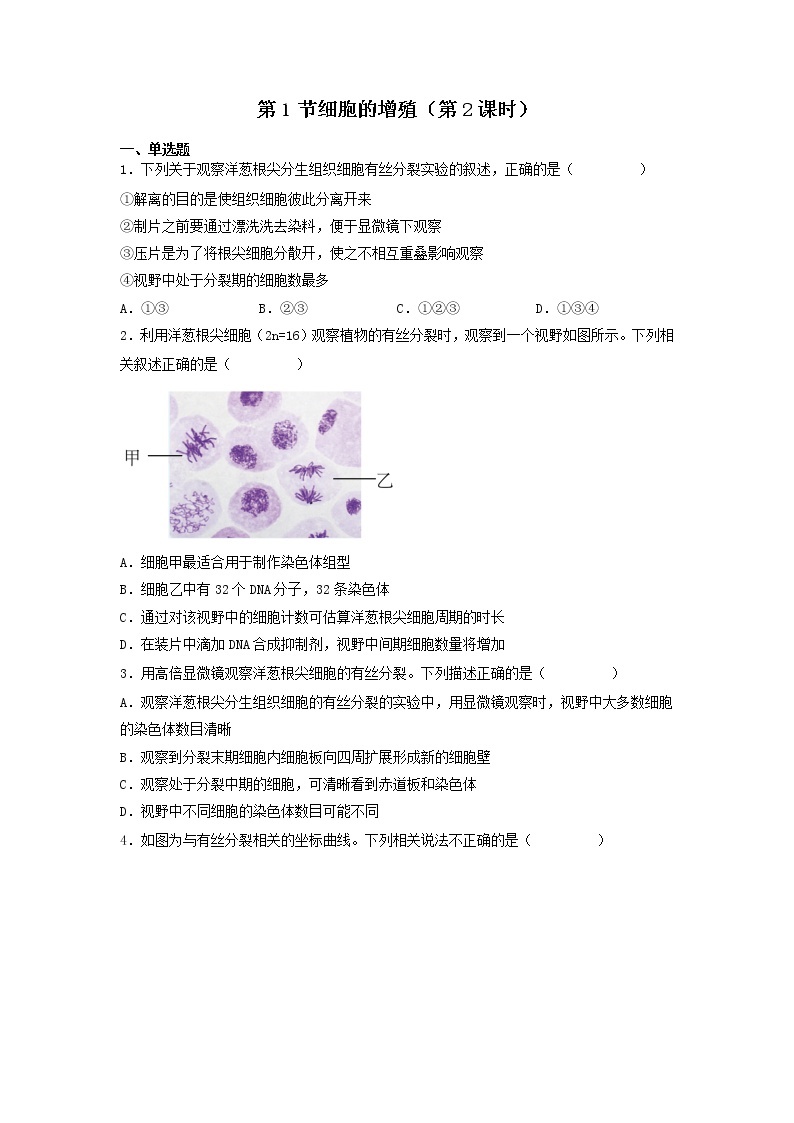 6.1 细胞的增殖（第2课时）-高中生物 课件+练习（人教版2019 必修一）01