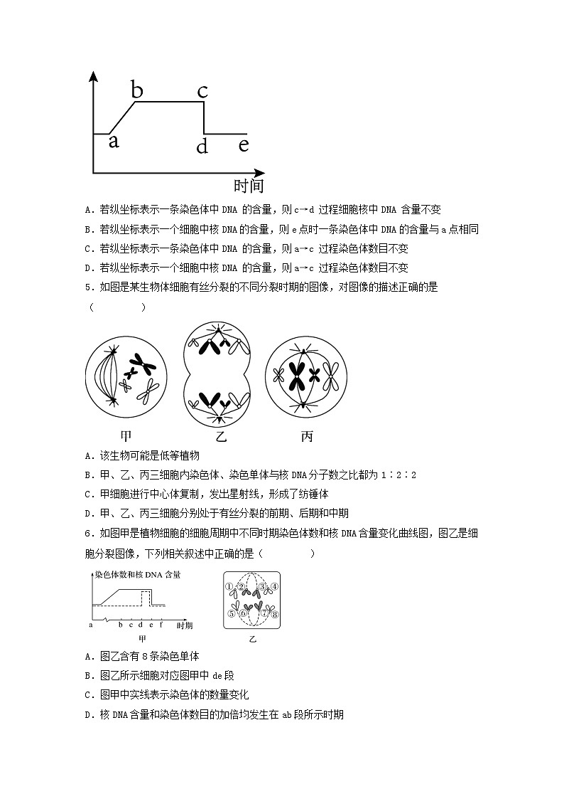 6.1 细胞的增殖（第2课时）-高中生物 课件+练习（人教版2019 必修一）02