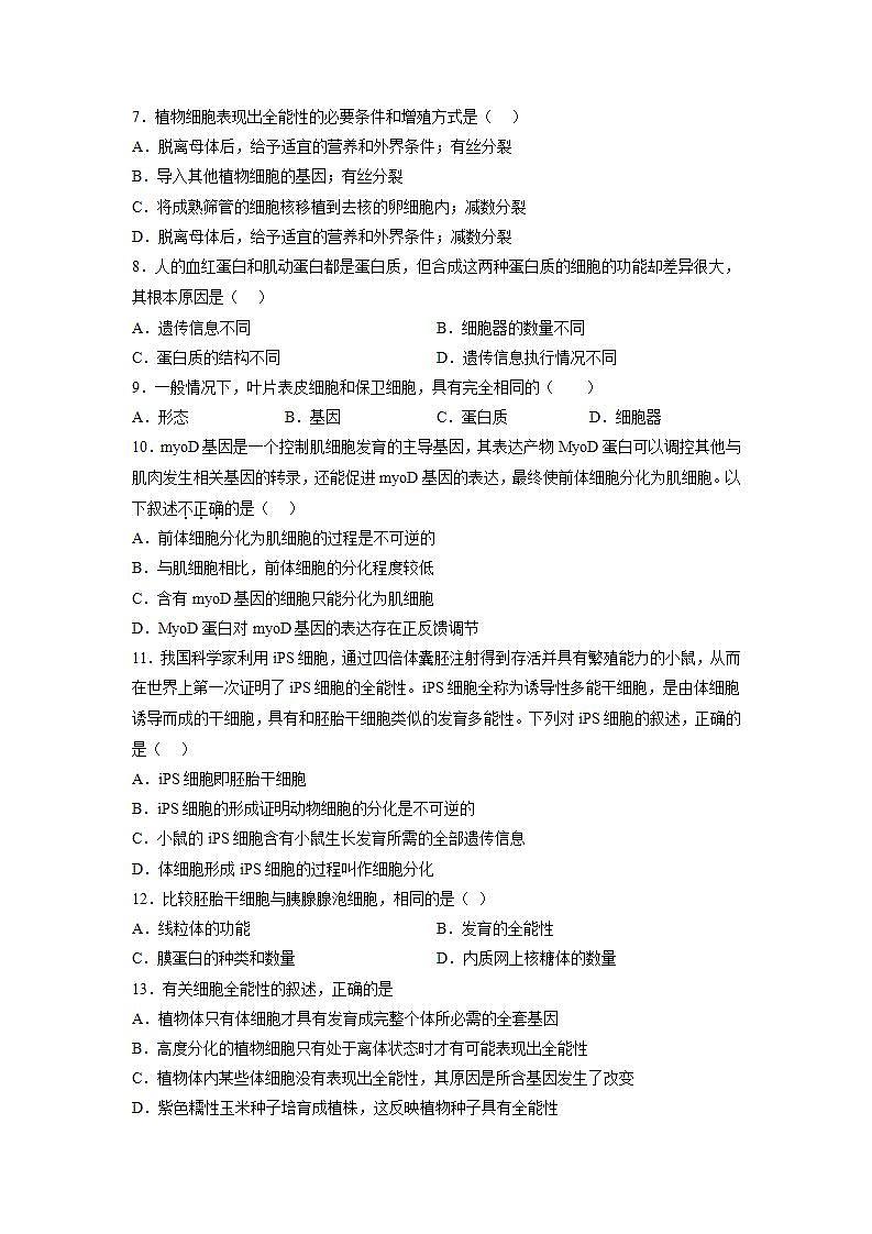 6.2 细胞的分化-高中生物 课件+练习（人教版2019 必修一）02