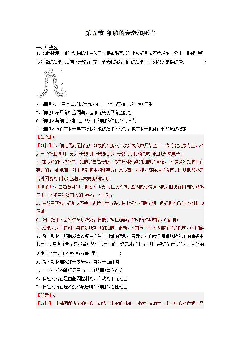 6.3 细胞的衰老和死亡（含答案解析）第1页