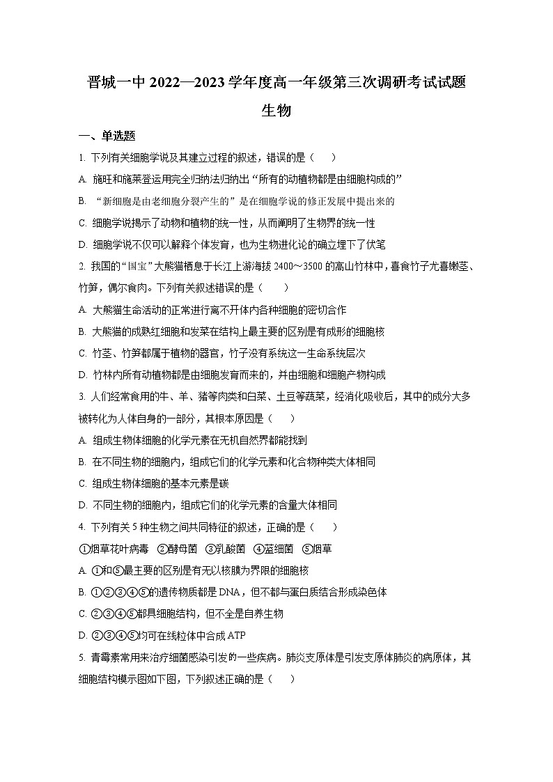 山西省晋城市第一中学2022-2023学年高一生物上学期第三次调研考试试题（Word版附答案）01