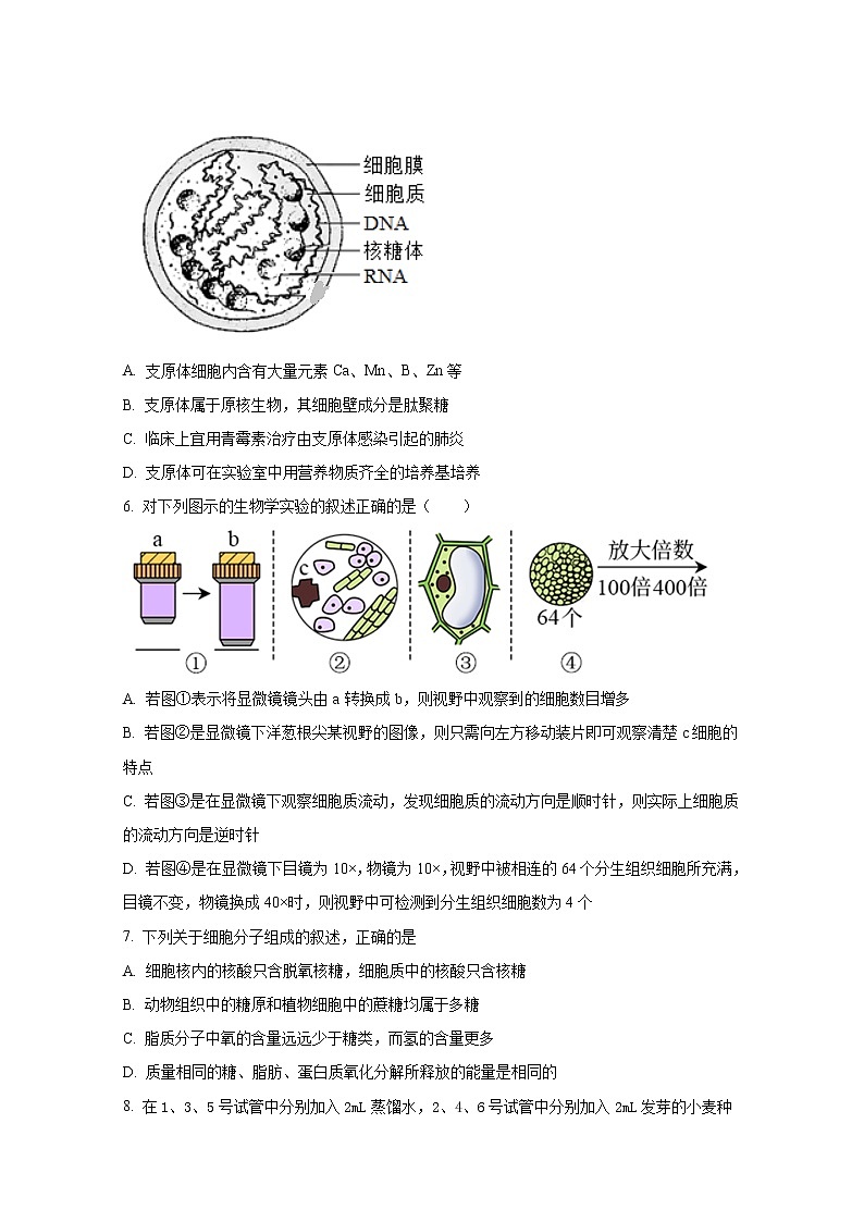 山西省晋城市第一中学2022-2023学年高一生物上学期第三次调研考试试题（Word版附答案）02