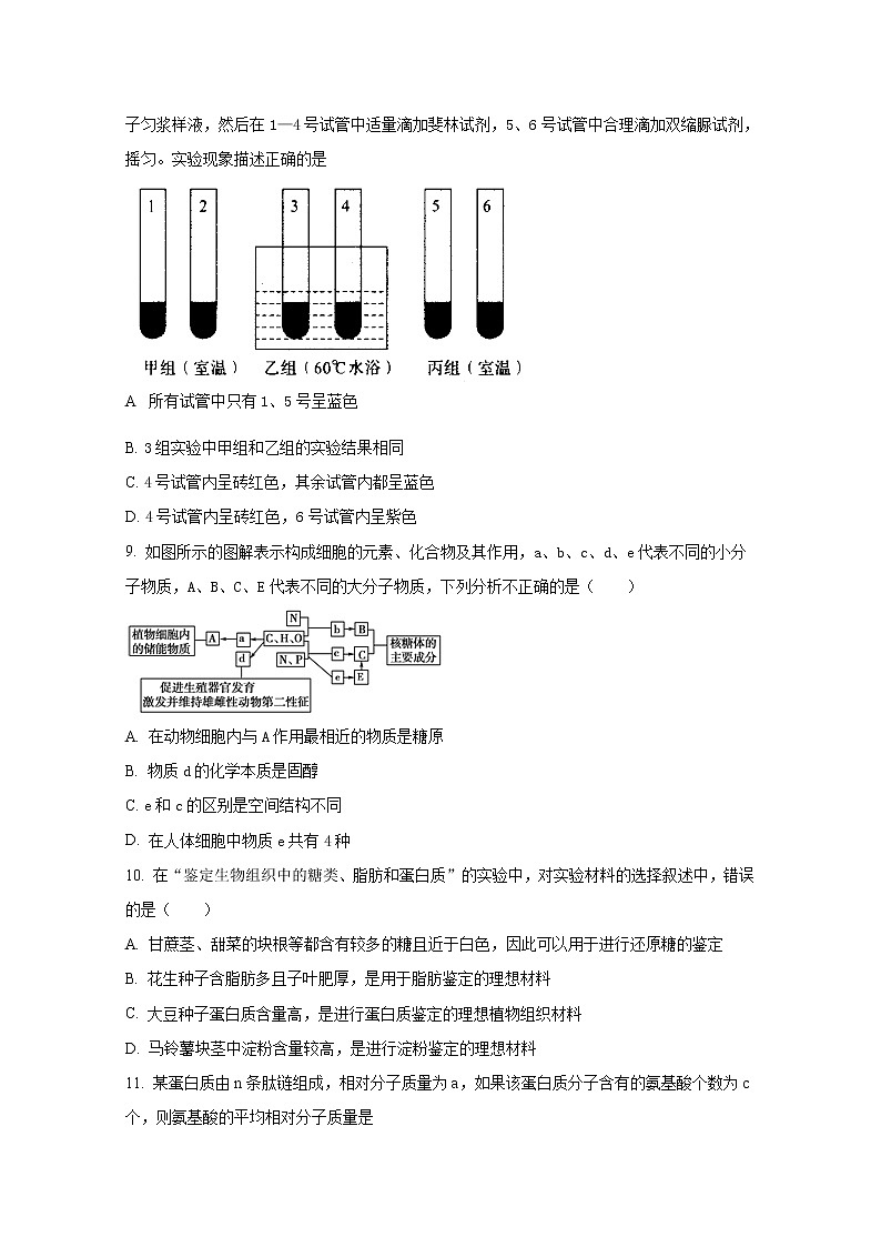山西省晋城市第一中学2022-2023学年高一生物上学期第三次调研考试试题（Word版附答案）03