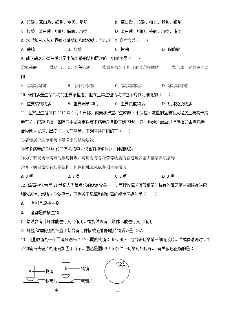 江苏省宿迁市泗阳县实验高级中学2022-2023学年高一生物上学期第一次调研试题（Word版附解析）02