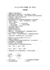 河南省宋基信阳实验中学2022-2023学年高一生物上学期第一次月考试题（Word版附答案）