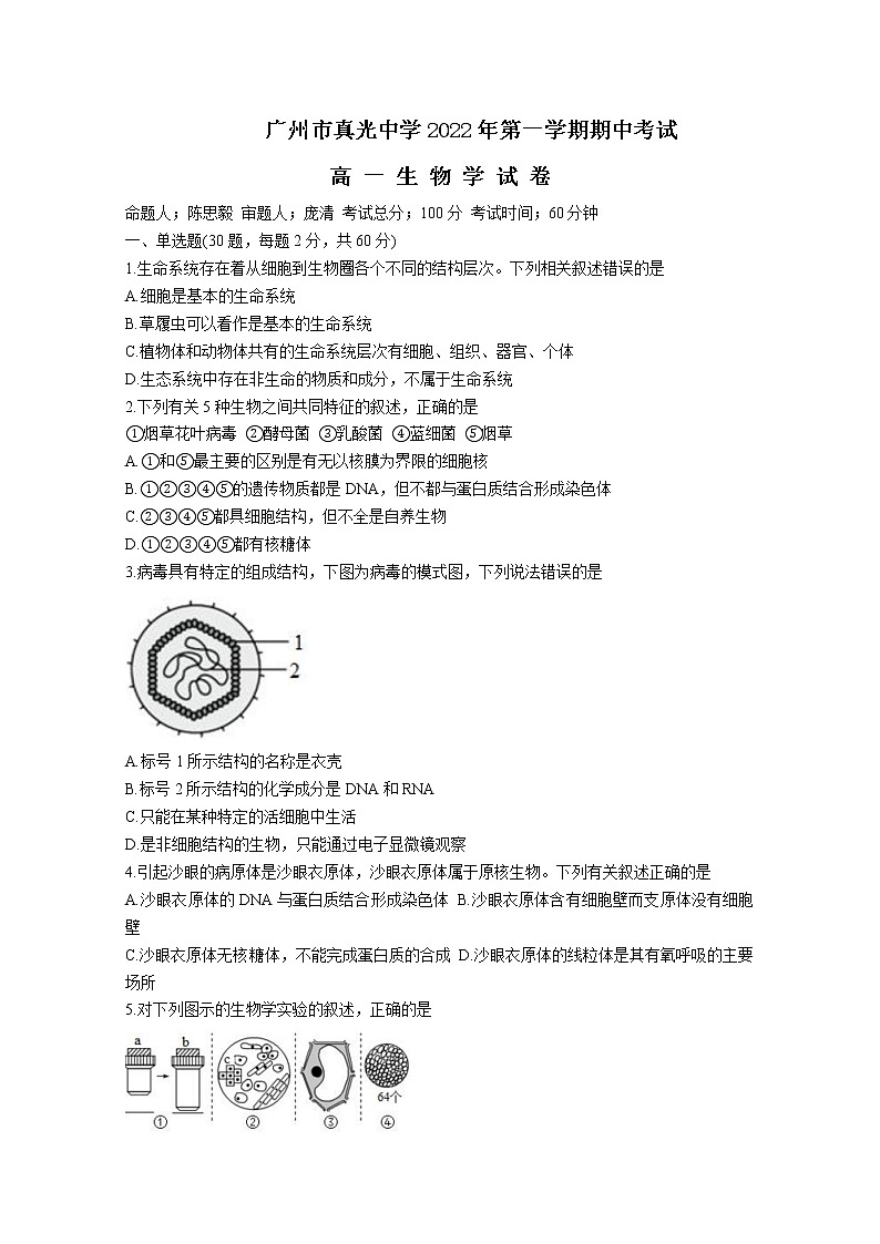 广东省广州市真光中学2022-2023学年高一生物上学期期中试卷（Word版附答案）01