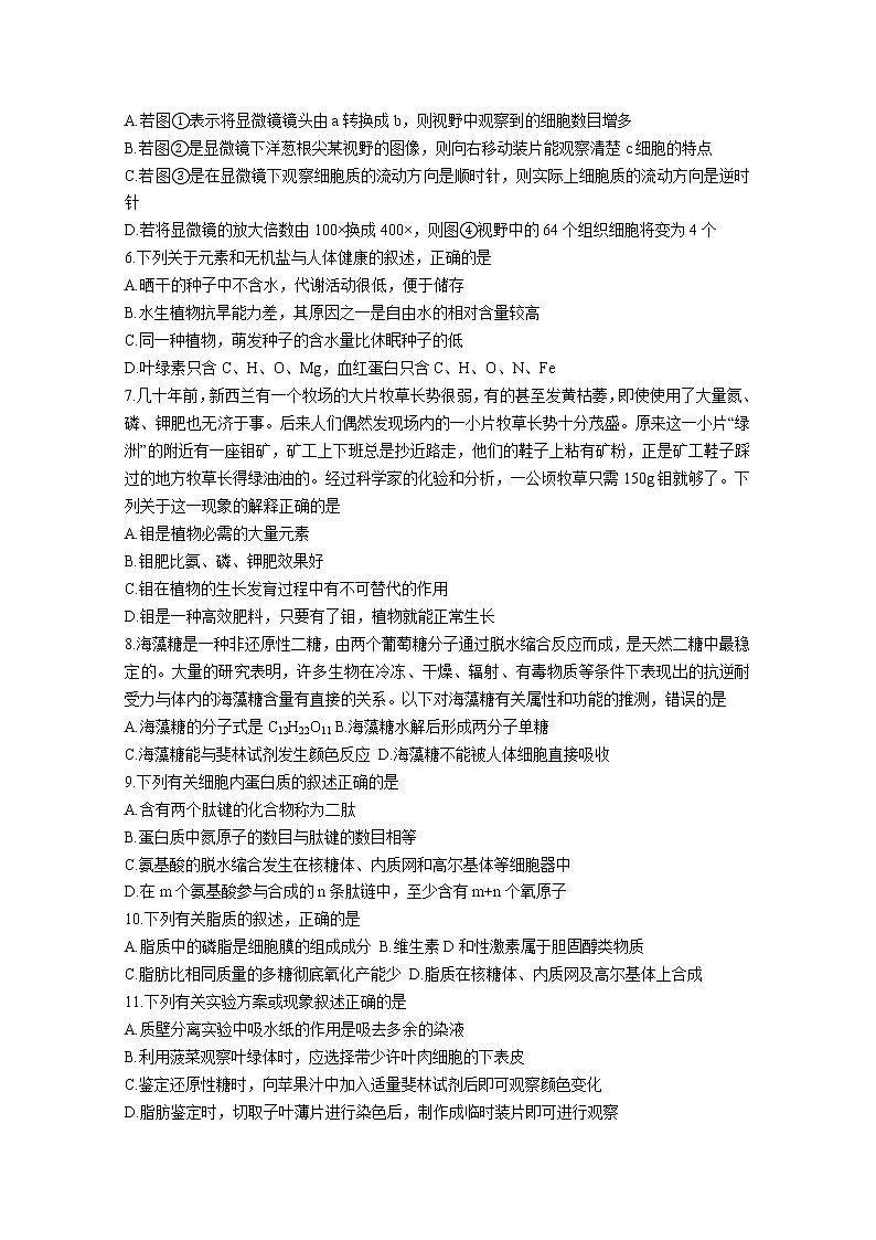 广东省广州市真光中学2022-2023学年高一生物上学期期中试卷（Word版附答案）02