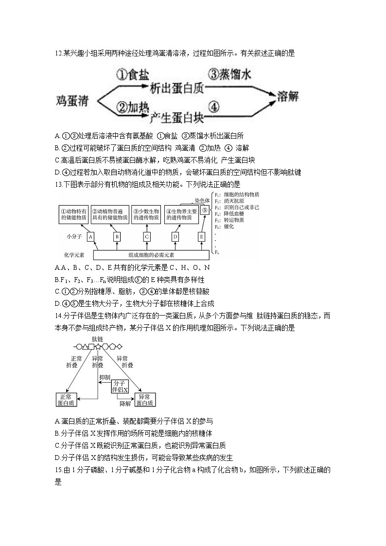 广东省广州市真光中学2022-2023学年高一生物上学期期中试卷（Word版附答案）03