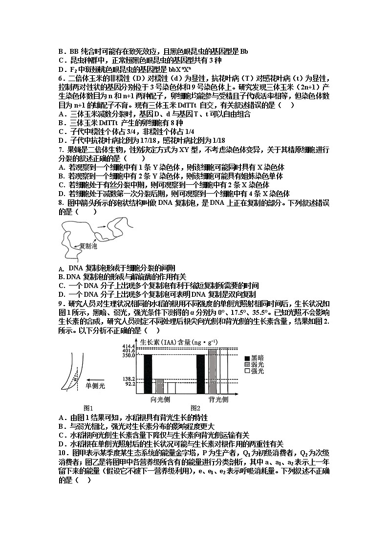 江西省丰城中学2022-2023学年上学期高二创新班生物期中考试试卷（Word版附答案）第2页