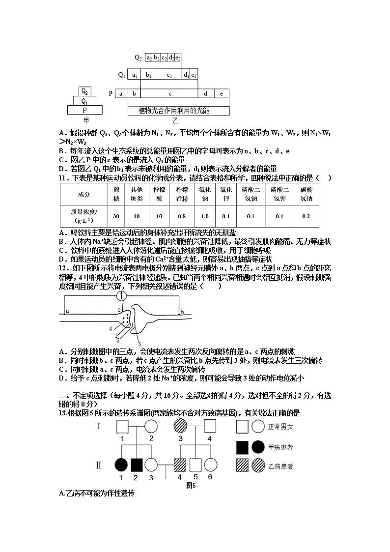 江西省丰城中学2022-2023学年上学期高二创新班生物期中考试试卷（Word版附答案）第3页