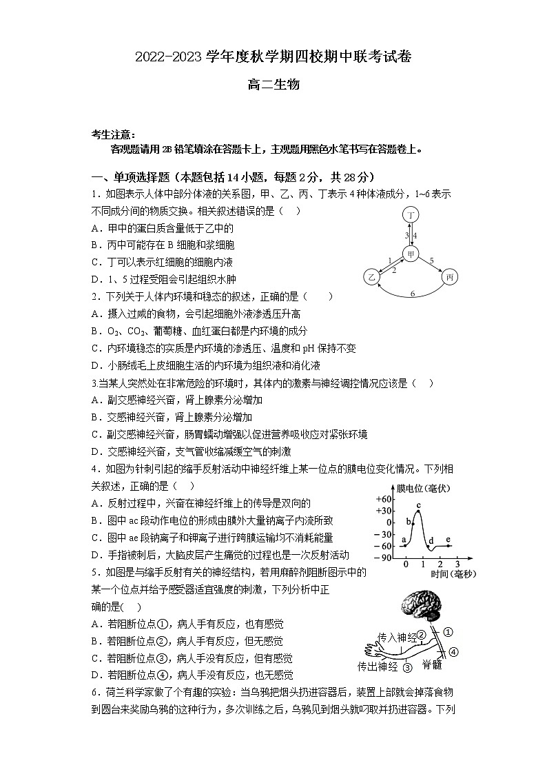 江苏省江阴市四校2022-2023学年高二生物上学期期中联考试卷（Word版附答案）第1页