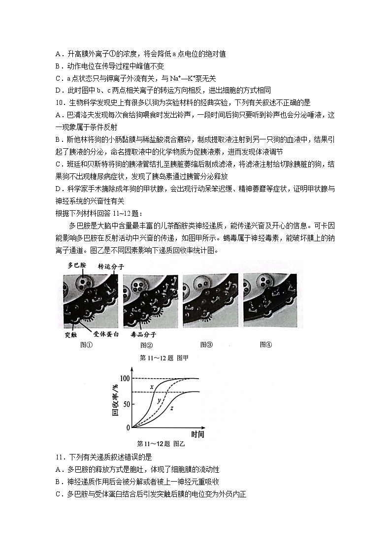 浙江省温州市环大罗山联盟2022-2023学年高二生物上学期期中联考试题（Word版附答案）第3页