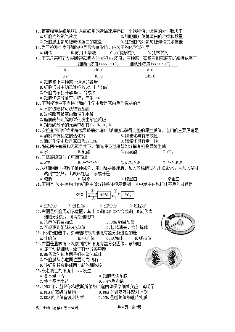 江苏省淮安市高中校协作体2022-2023学年高二生物上学期11月期中试题（Word版附答案）第2页