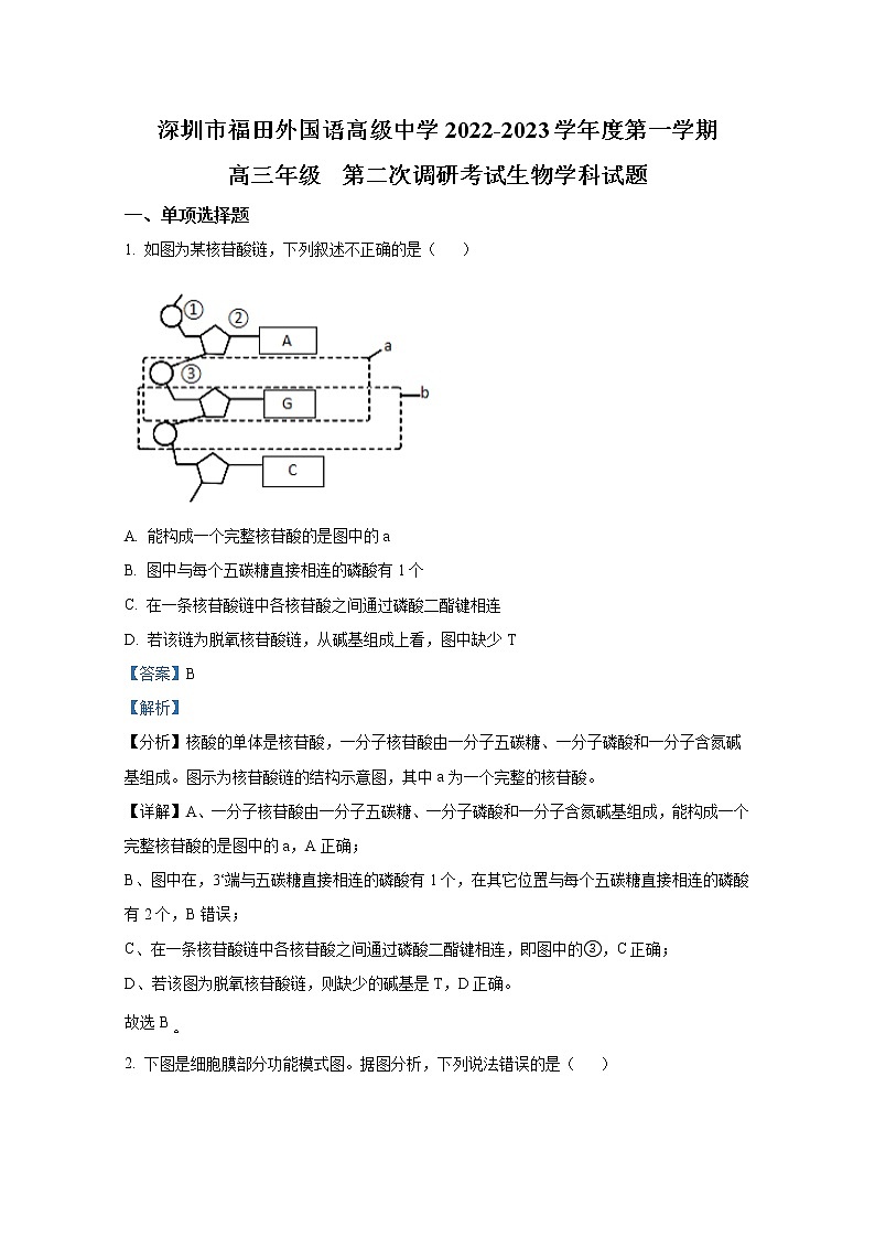 广东省深圳市福田区外国语高级中学2022-2023学年高三生物上学期第二次调研试卷（Word版附答案）01