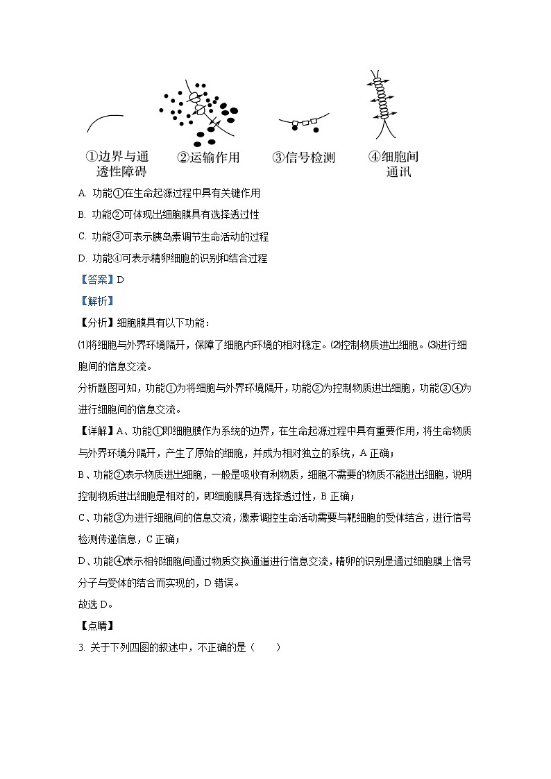 广东省深圳市福田区外国语高级中学2022-2023学年高三生物上学期第二次调研试卷（Word版附答案）02