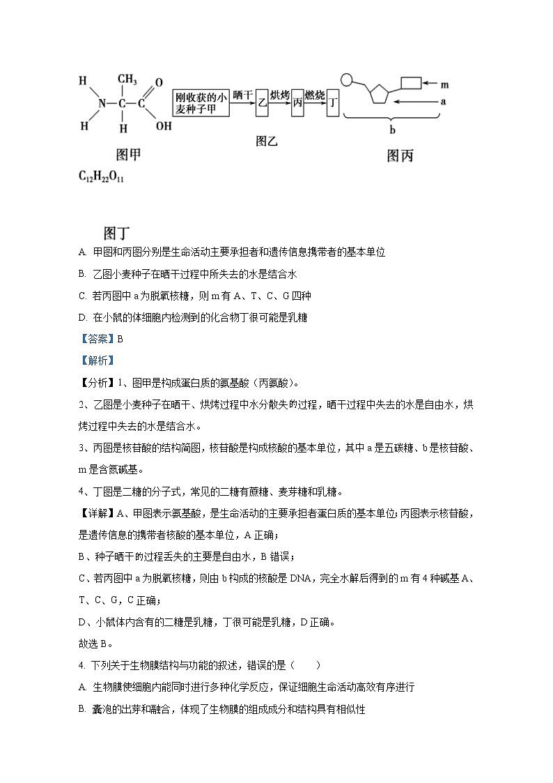 广东省深圳市福田区外国语高级中学2022-2023学年高三生物上学期第二次调研试卷（Word版附答案）03