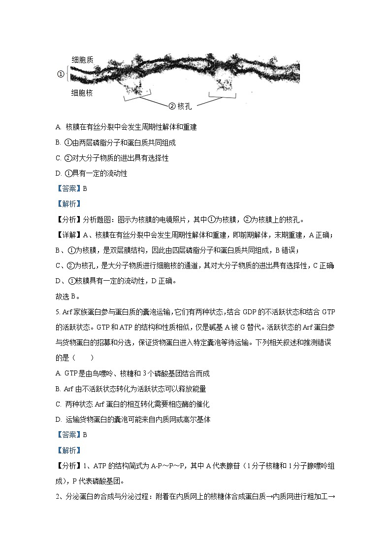 广东省汕头市金山中学2022-2023学年高三生物上学期第二次月考试卷（Word版附答案）03