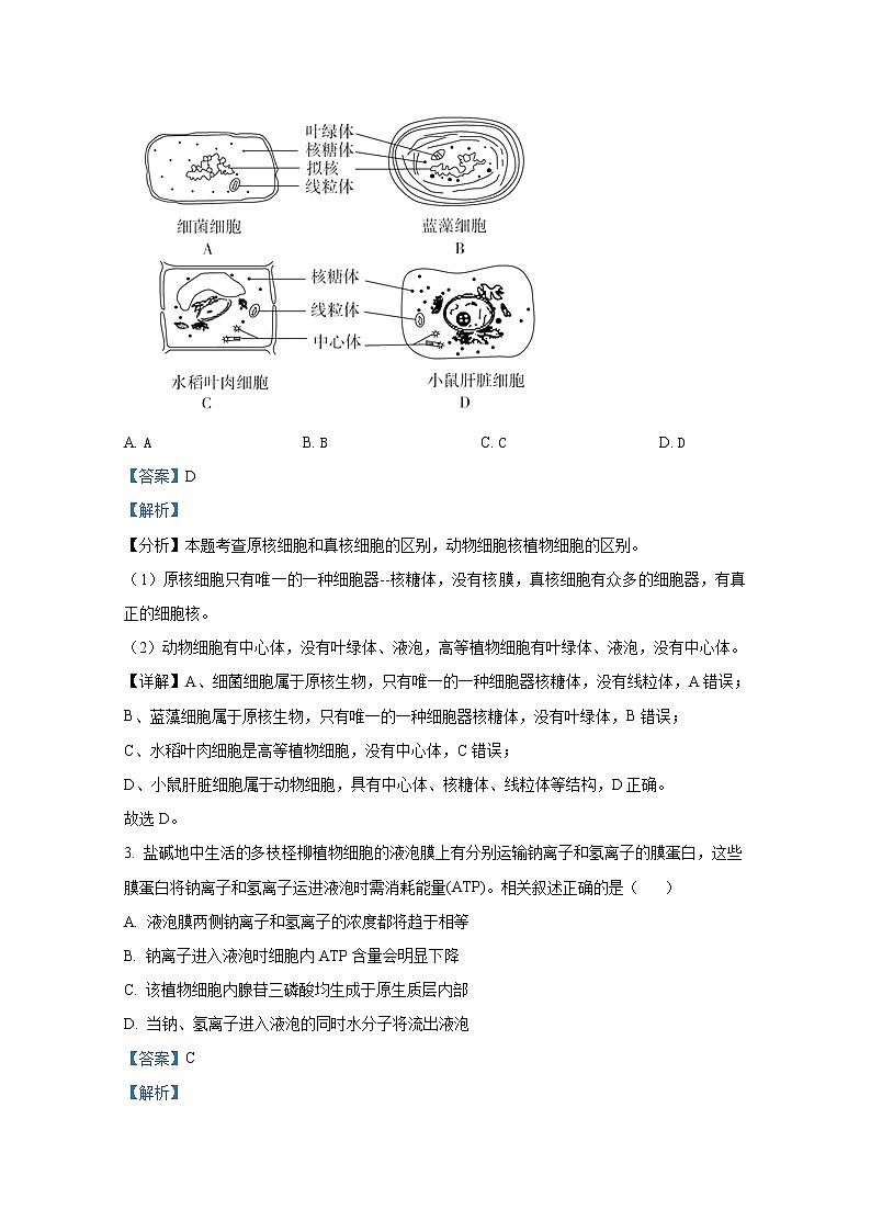 辽宁省大连市滨城高中联盟2022-2023学年高三生物上学期期中试卷（Word版附答案）第2页