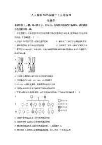 北京市中国人民大学附中2022-2023学年高三生物10月月考试题（Word版附答案）