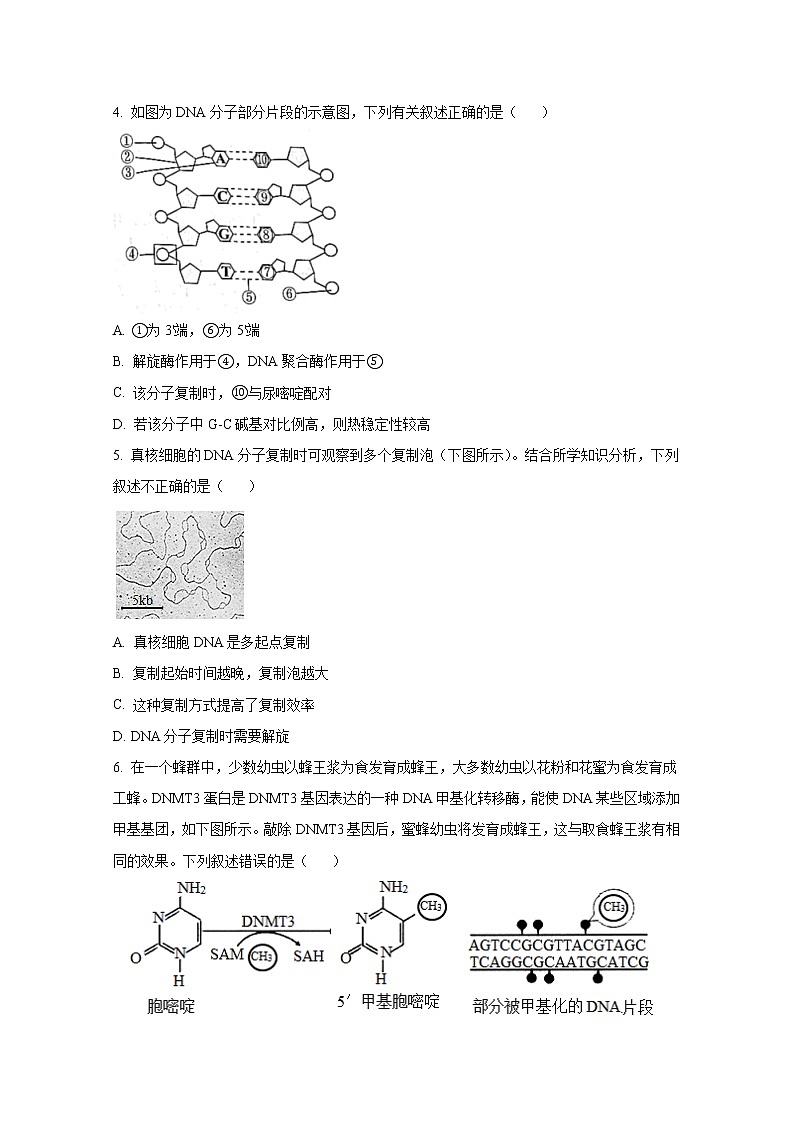 北京市中国人民大学附中2022-2023学年高三生物10月月考试题（Word版附答案）02