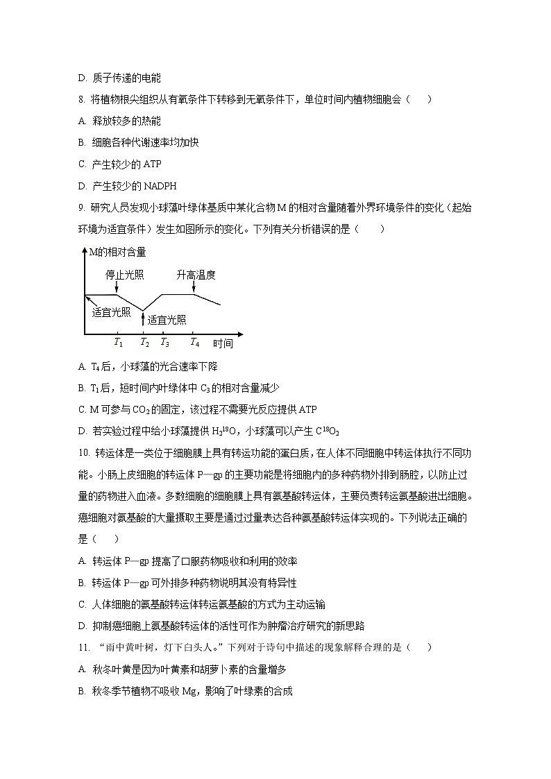 山西省晋城市第一中学2023届高三生物上学期第五次调研考试试题（Word版附答案）第3页