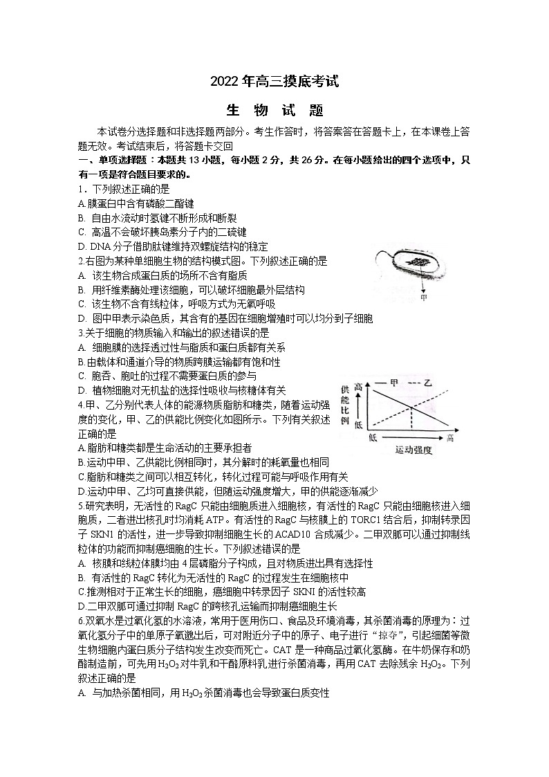 河北省保定市2022-2023学年高三生物上学期期中试卷（Word版附答案）第1页