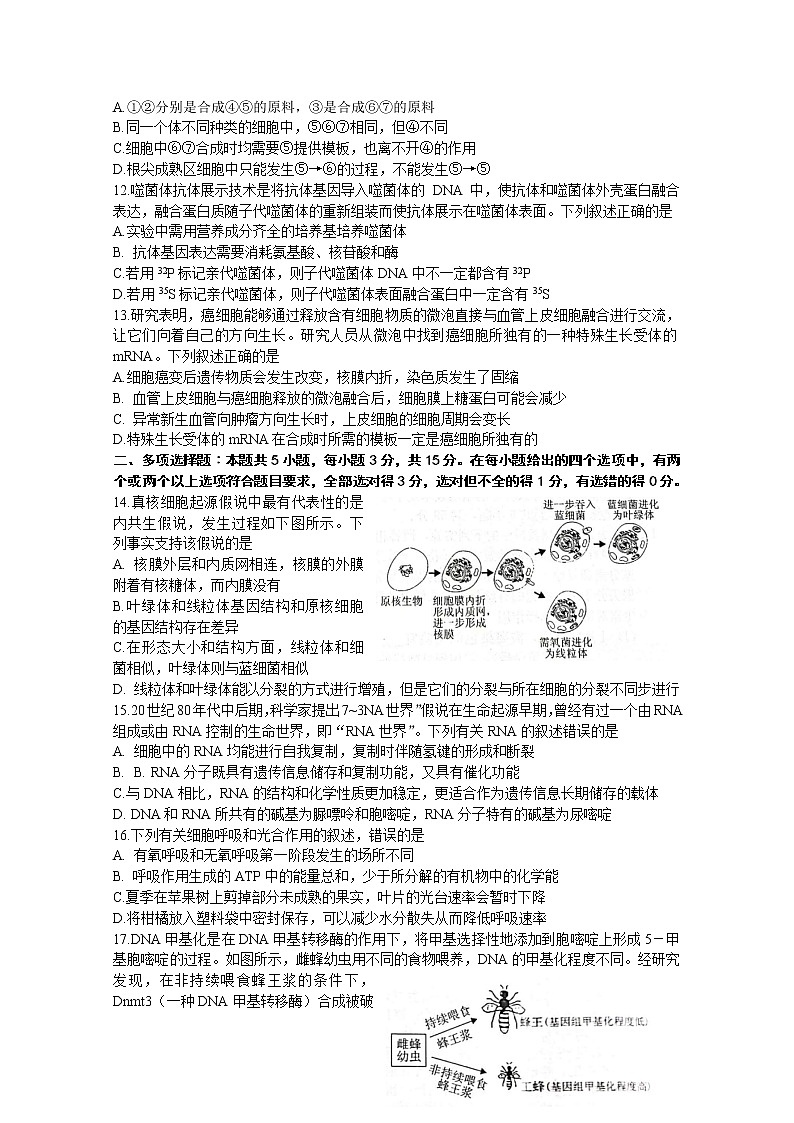 河北省保定市2022-2023学年高三生物上学期期中试卷（Word版附答案）第3页